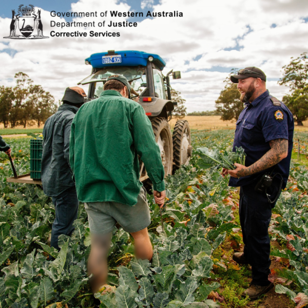 WA Industry Collaboration Award 2022, Making Tracks (Department of Justice)
